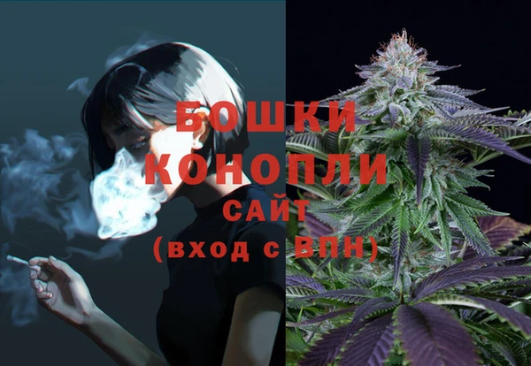 мдпв Вязьма