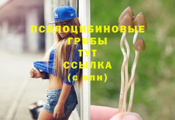 мдпв Вязьма