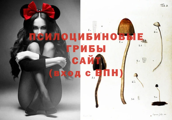 мдпв Вязьма