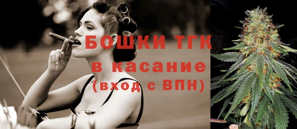 прущие крисы Вяземский