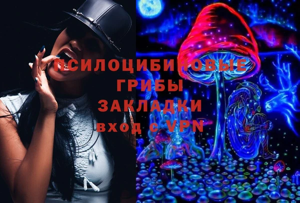 мдпв Вязьма