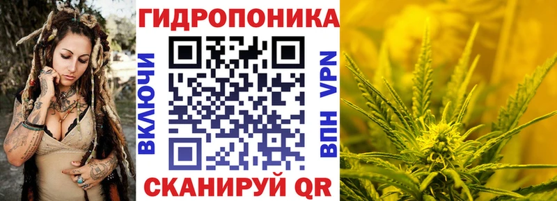 Шишки марихуана конопля  Купить закладки  Апшеронск 
